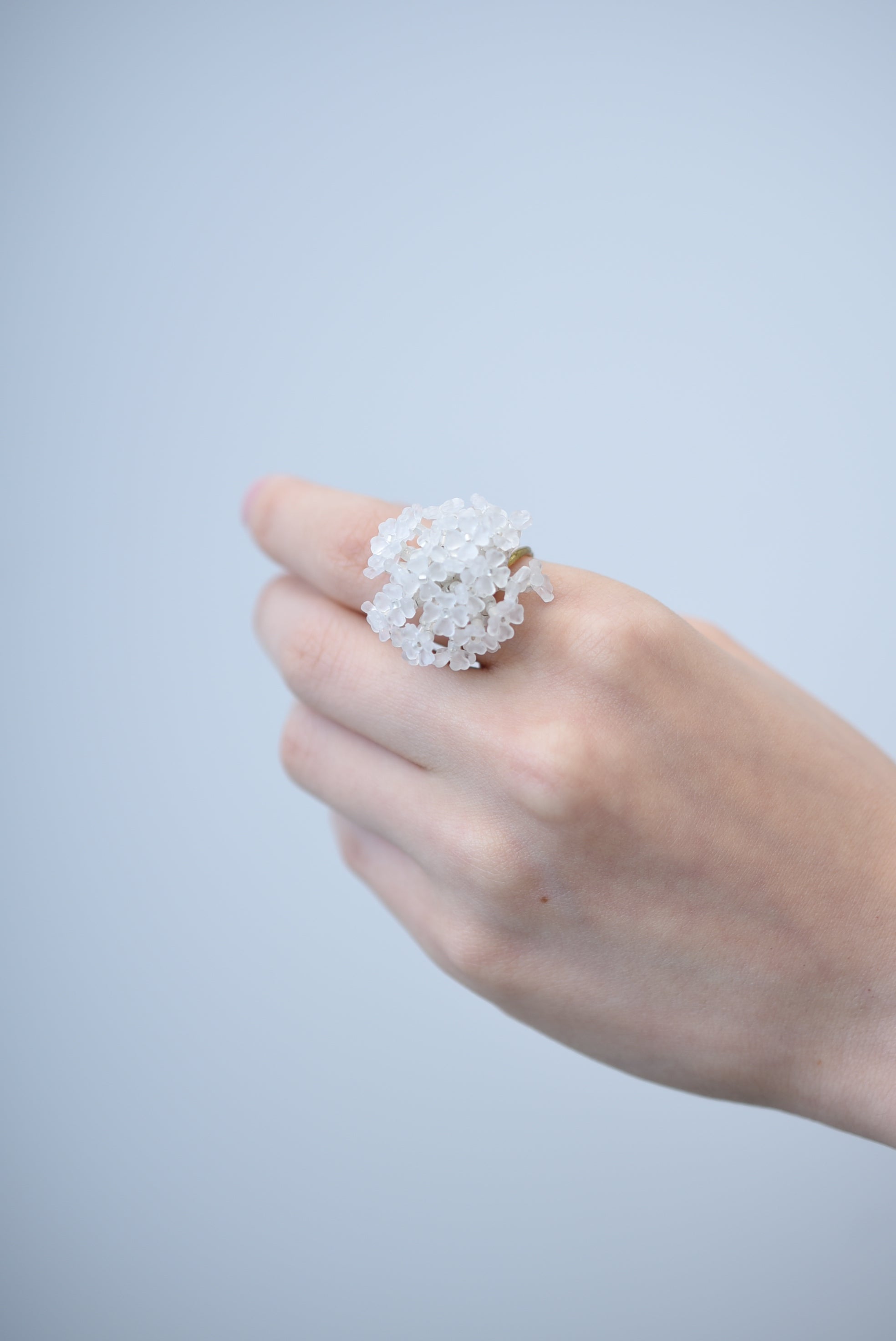 DSC_6388_2048x.jpg?v=1739538720